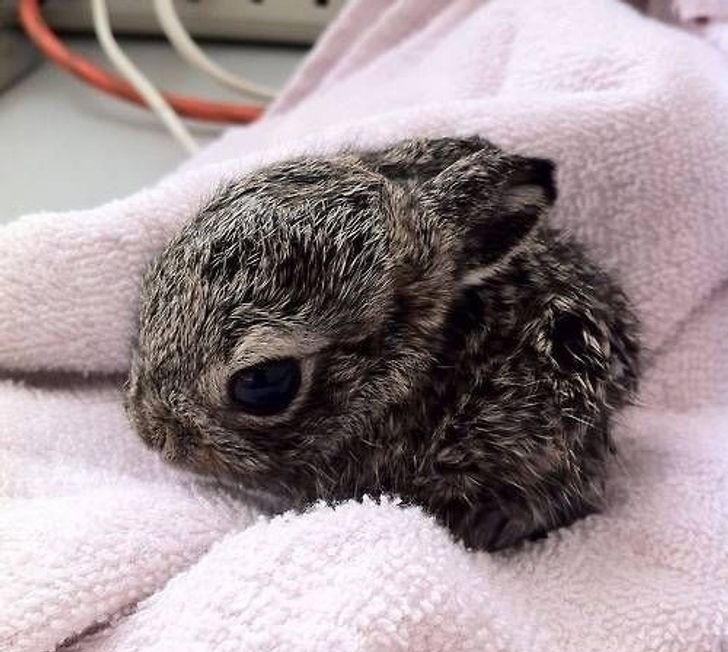 f5acbb5a24b5a44954ac7bd5ee