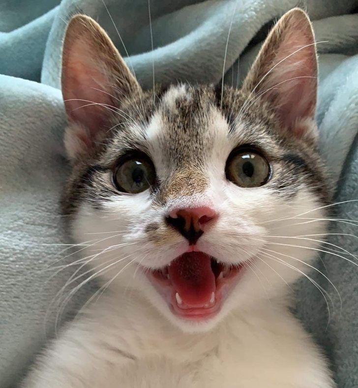 f5b360532299aa73825a5e231d