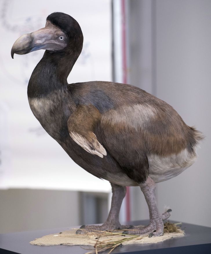 f5b4ed515f937132dfd32f3155