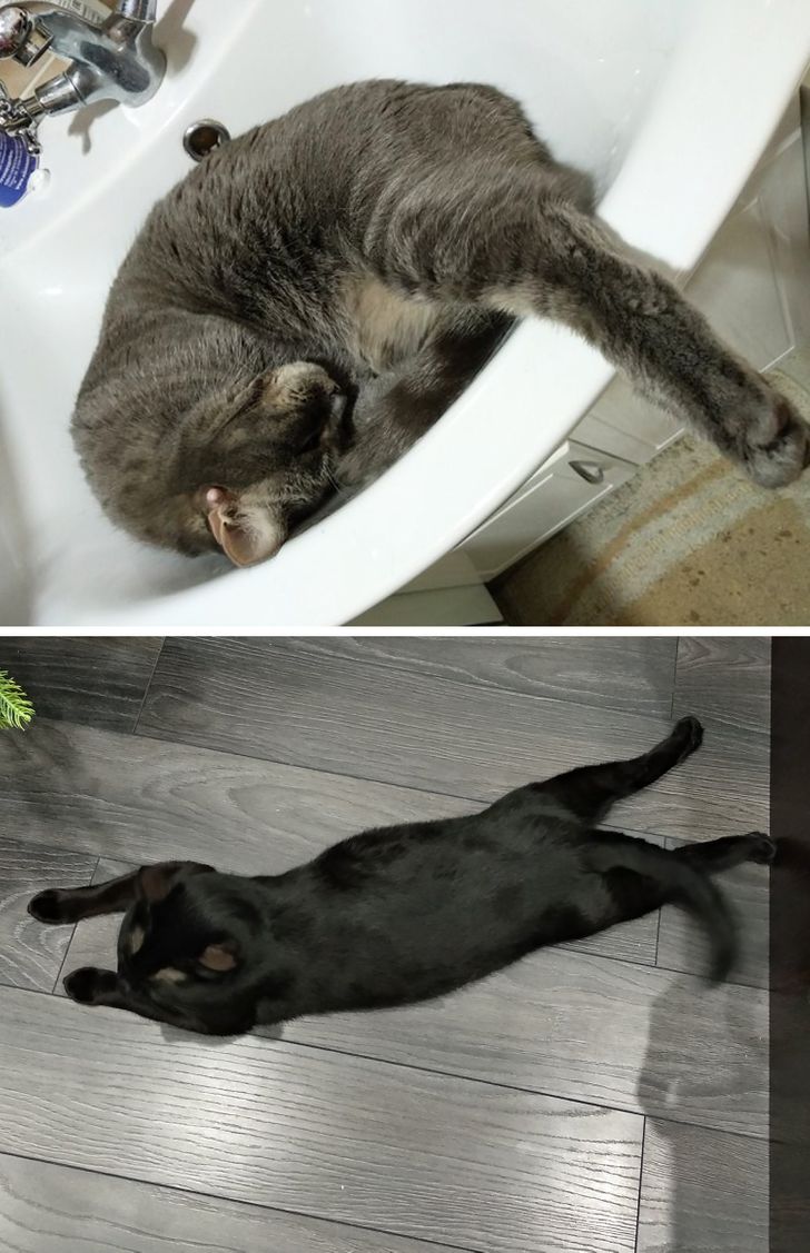 f5b55a5e71aaddf34d807c5085