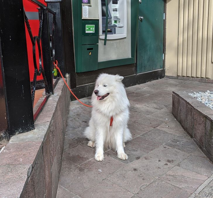 f5be1a5b068307dab65177aef6