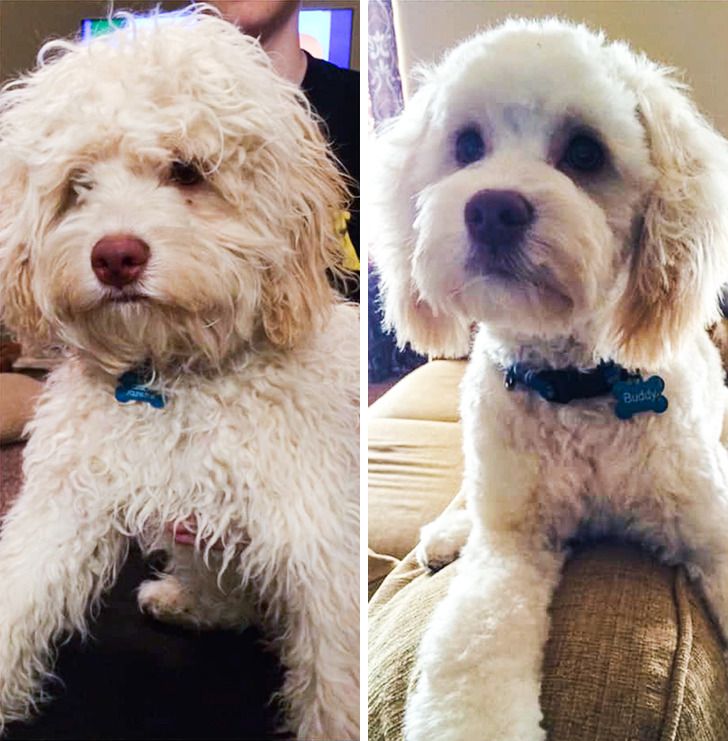 f5bf5a5eff82c65fe77a01be08