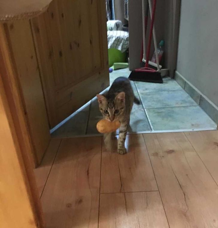 f5bfb0573482f084b64c2cf83d