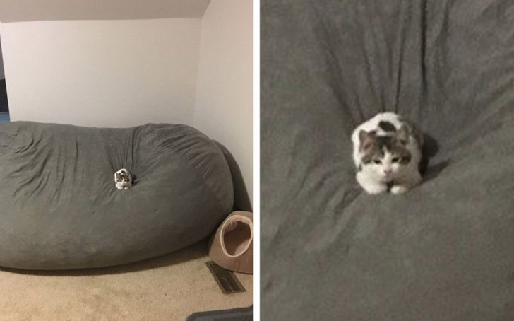 f5ccec5e01ab2612759a4dcc1c