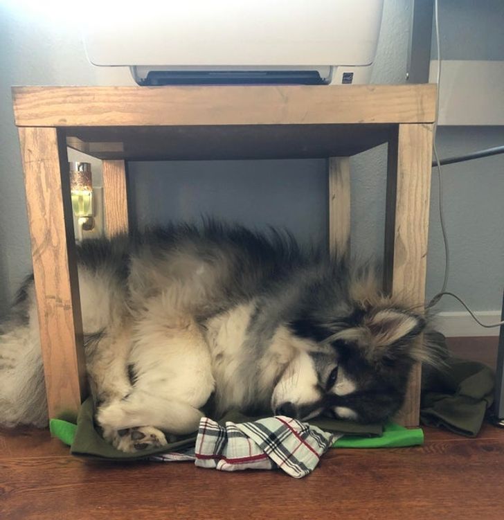 f5d32259a48930b80a2a46eba0