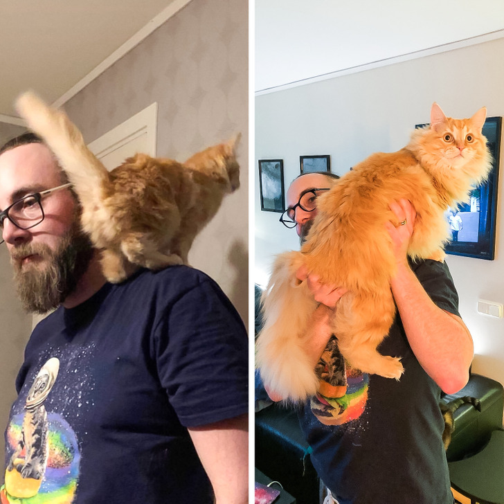 f5d807511a8721d78be0c733b9