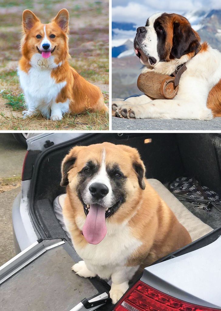 f5dd105d5e8175fb9f49455621