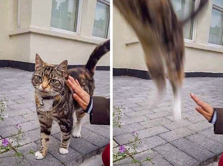 f5e44b57758fc7d6d6bcfbd998