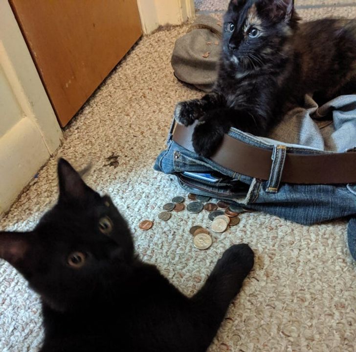 f5e4f75f9d9df172fcdcb064a0