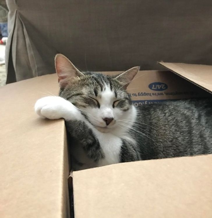 f5e64850e38ef4d212156c9704