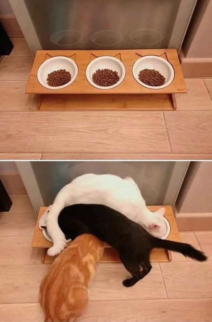 f5ec235ce887db82e4bf54e3b5