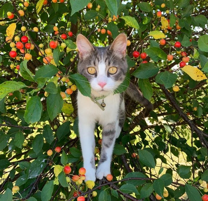 f5efbe55a394ecbdca1a658200