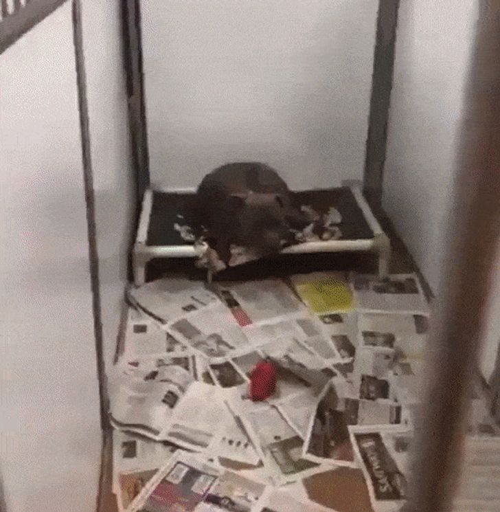 f5f49553e6bca4d1a3c388e0df f5f49553e6bca4d1a3c388e0df