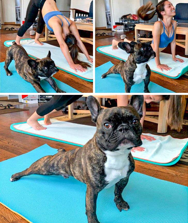 f5f8cc561c95e2fbc673909c0f