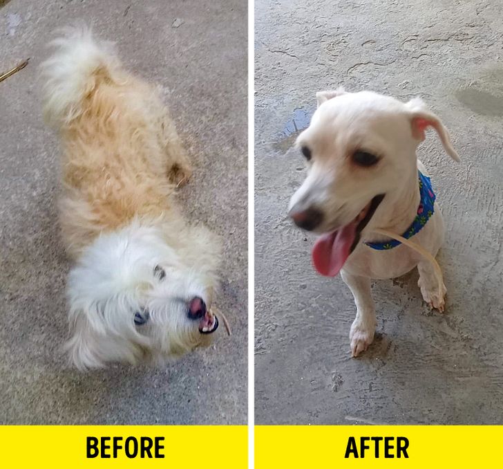 f5fa265e44962520eb51aa2cdb