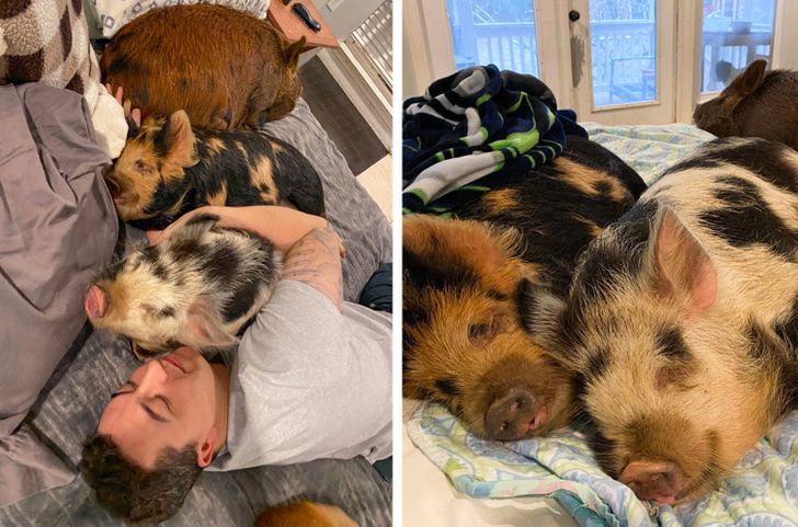 f5fc4d5520947b6a07a66043c7