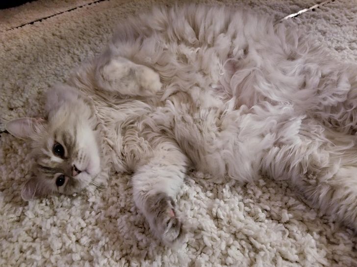 f5fece597595ef83b120533583