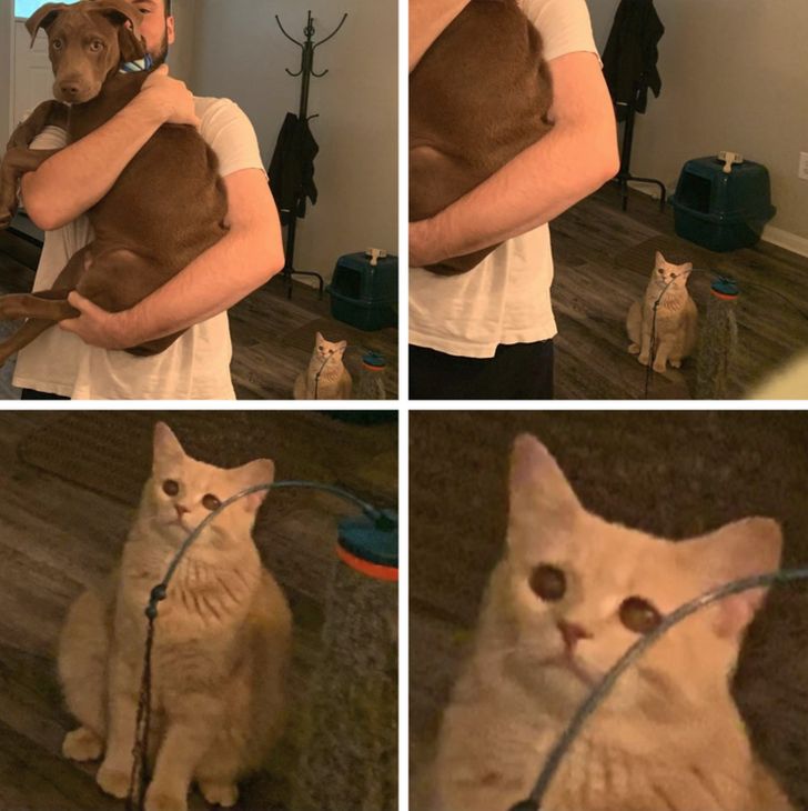 f6014d536f8b3d92c2aac780f8