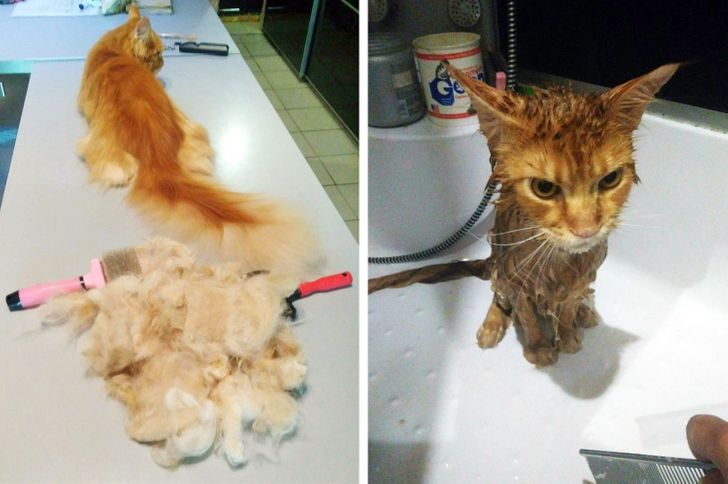 f602925efda73809fa45140aac