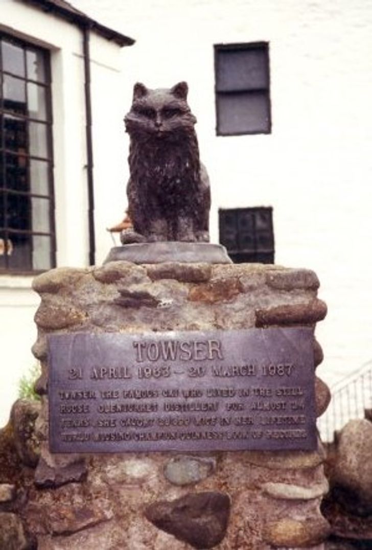 f60c2e5535accb5e9ca2e42d86