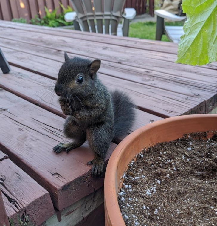 f60dee5e639e70d5e5251089eb