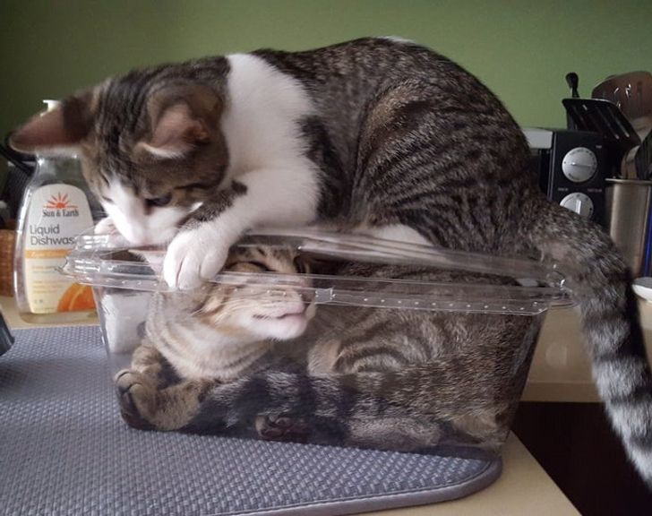 f6114f5d12b3dcf49f8563cf2b