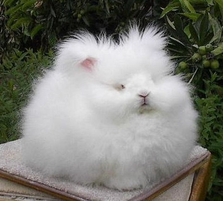 f611c656ee9c85bf1d0888ada1