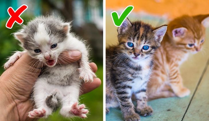 f612fc51f587dace7dc1a9817e