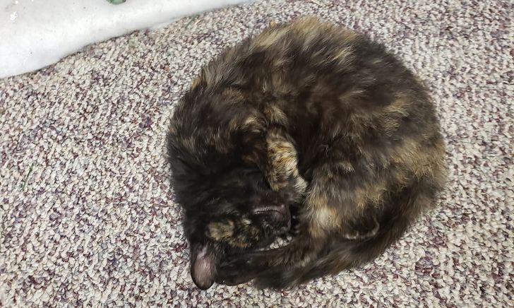 f614a9560987d212b06afaf020