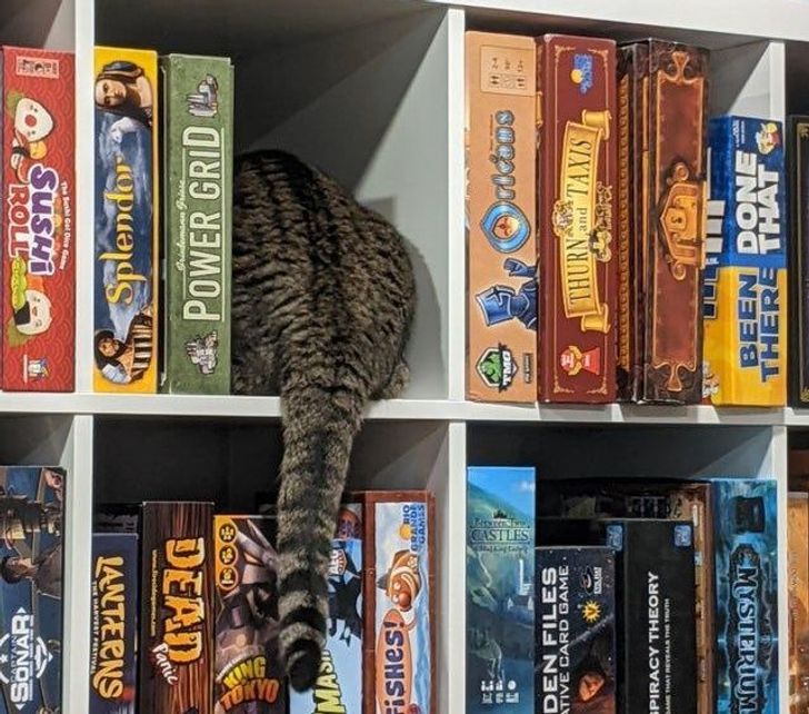 f622bf59fcaf5ff0c8e3973513