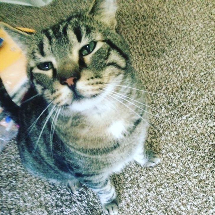 f624cd5a61aa5df55226a72e9b