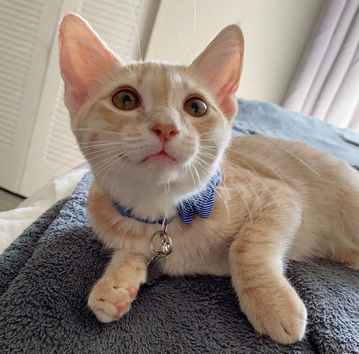 f634645c089ee9d0179826e534