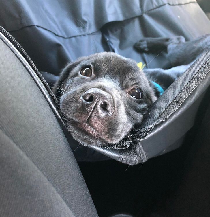 f645905c14959004dbb9d5664d