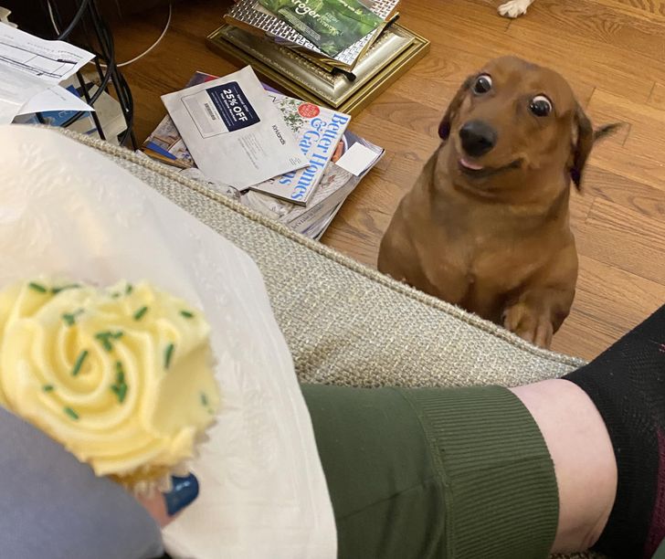 f64af5539088d6407de1eddb59