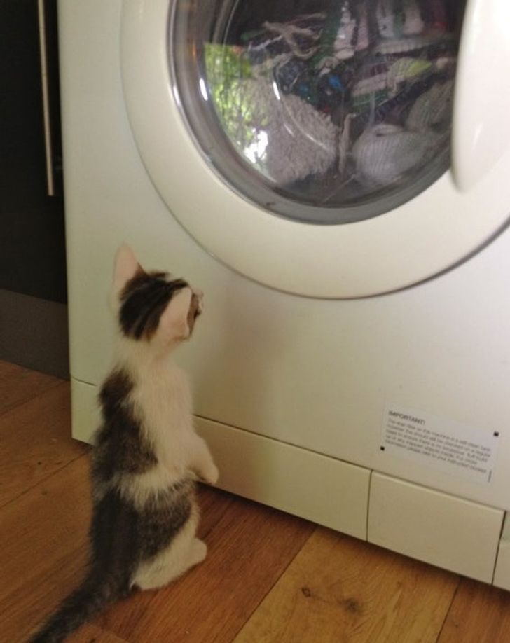 f658ff5783b400934fa7e15e50