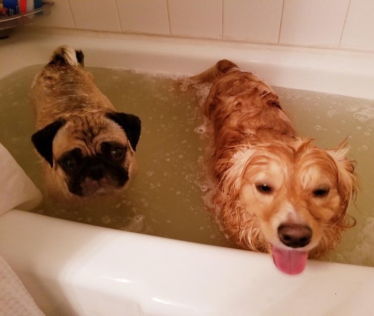 f65aec5a1fbfdcd9ea5c83c793