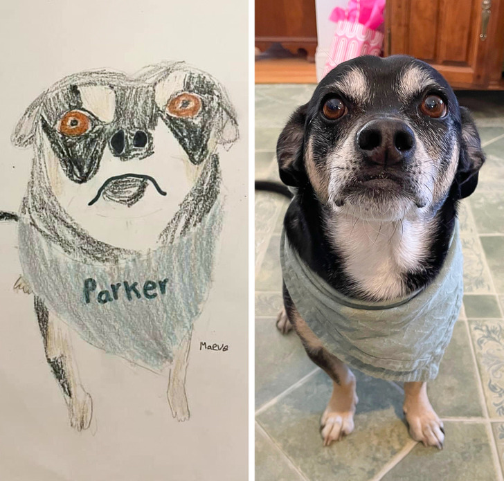 f664ee574b8c38864c4adf8386