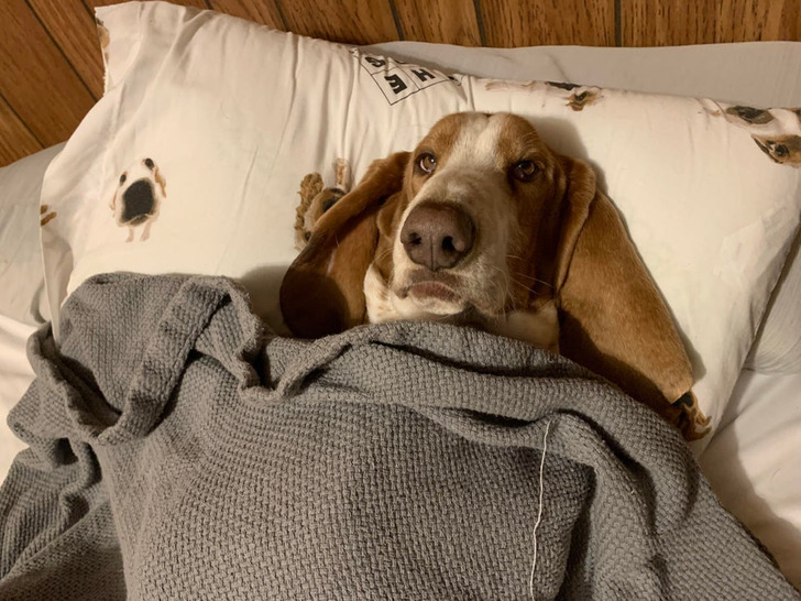 f66b705a9dae020911d2a17bc2