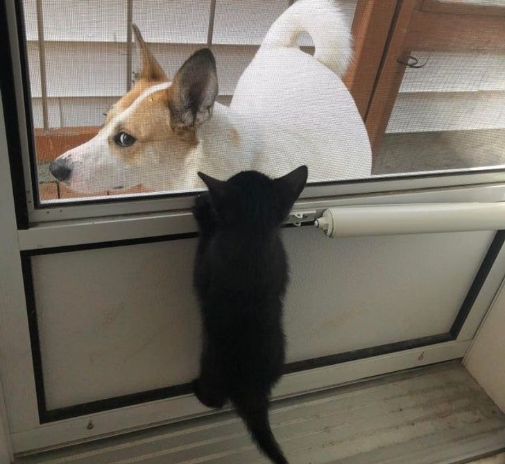 f6714655f9ab30ea9b3997e39b