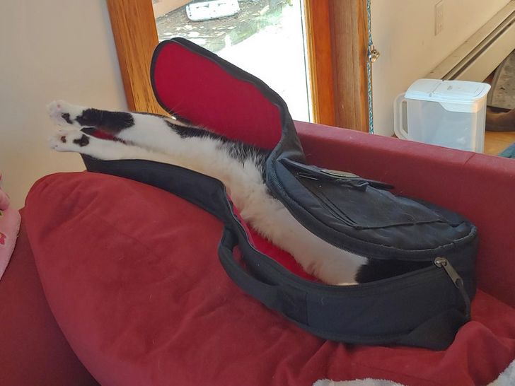 f6742056dc916e942b164b4754