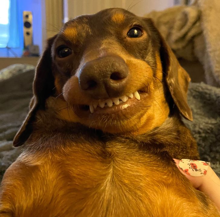 f6779654028bb9589d390b2d36