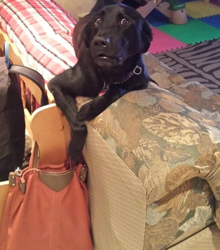 f6790856ae89853db04dd1e6b6