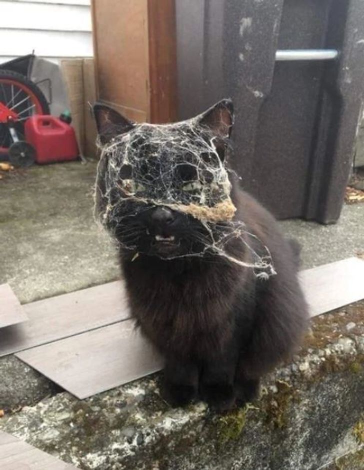 f683325a89871a348739e862a0