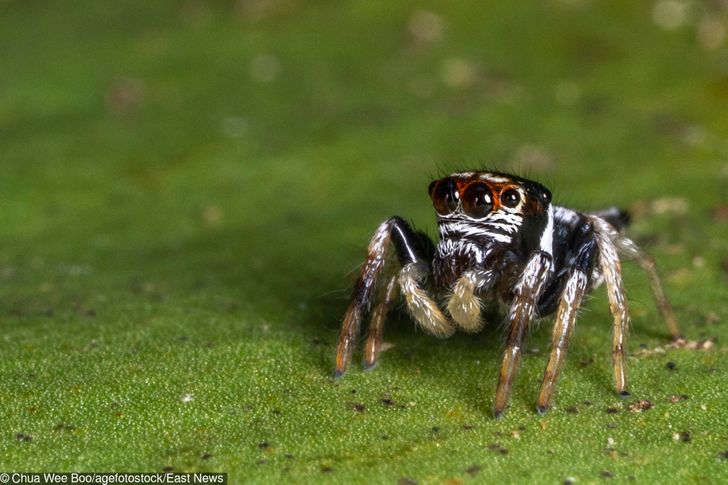 f6834c538cbcafee17fe253576