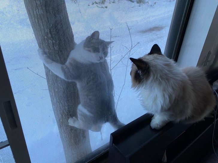 f683ec584f9f6a953b9b0af47e