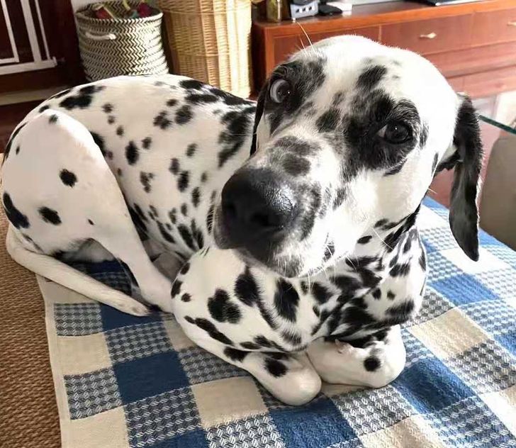 f6882756e198c5ce3a0f678654