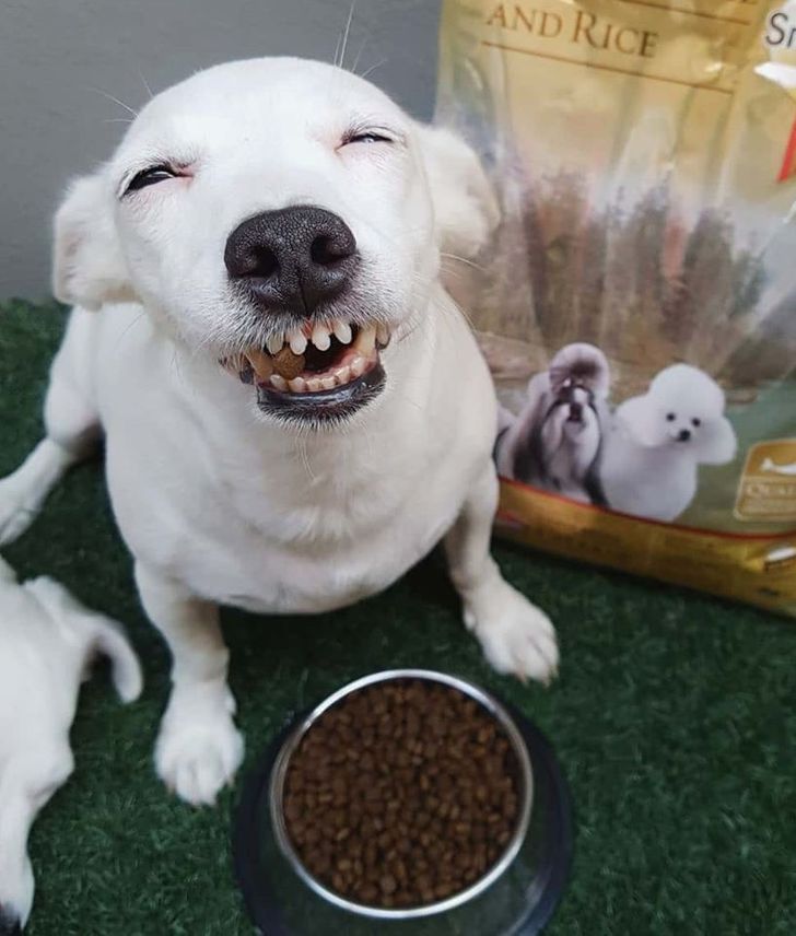 f6883058f4966bff307c8bcdf1