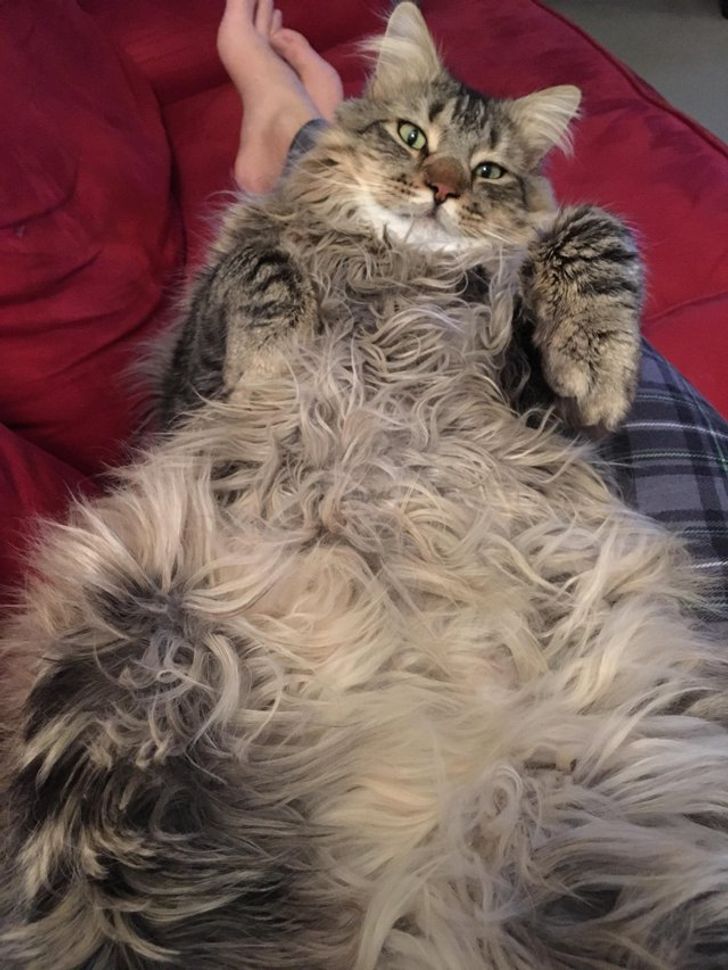 f6889f5e3fa9d48ca74e349c25