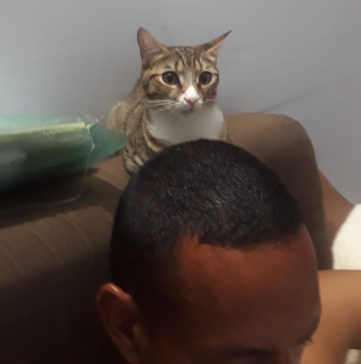 f68c68553faac84c039c38be8f