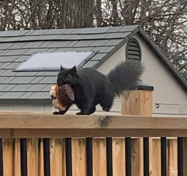 f68f165193bd0b51d7ec1b91ce f68f165193bd0b51d7ec1b91ce